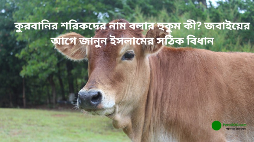 কুরবানির শরিকদের নাম বলার হুকুম কী? জবাইয়ের আগে জানুন ইসলামের সঠিক বিধান