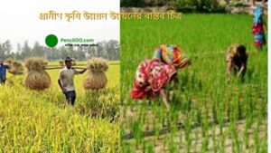 গ্রামীণ কৃষি উন্নয়ন উন্নয়নের বাস্তব চিত্র