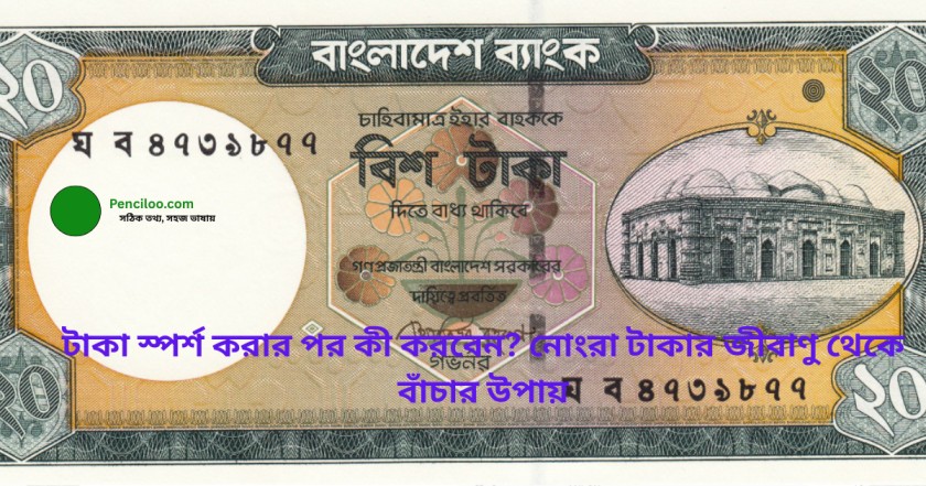 টাকা স্পর্শ করার পর কী করবেন? নোংরা টাকার জীবাণু থেকে বাঁচার উপায়