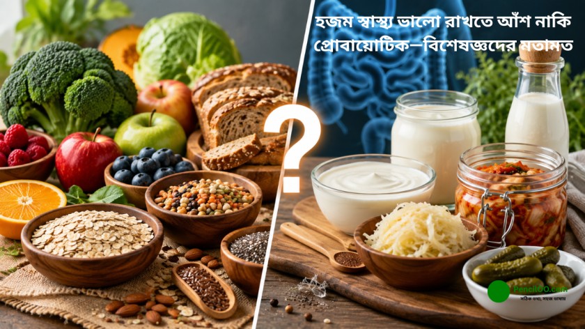 হজম স্বাস্থ্য ভালো রাখতে আঁশ নাকি প্রোবায়োটিক—বিশেষজ্ঞদের মতামত